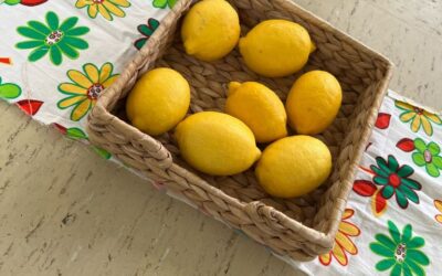 Protegido: Si la vida te da limones